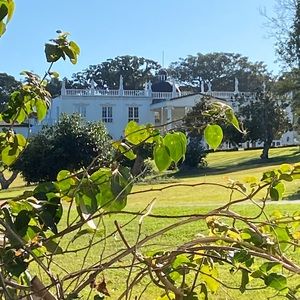 Meet your Posher, Maya